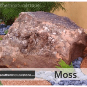 Moss