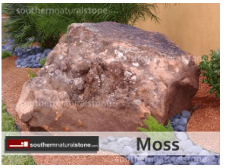 Moss