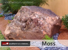 Moss