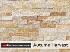 Autumn Harvest