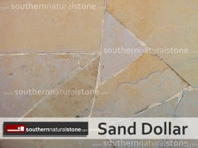 Sand Dollar