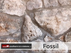 Fossil