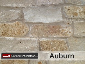 Auburn